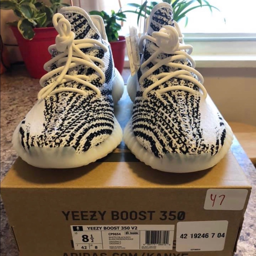 Zebra yeezys